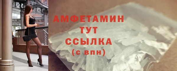 индика Богородск