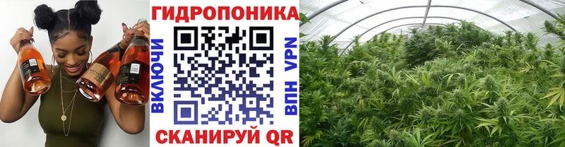 Марихуана гибрид  купить   Буйнакск 