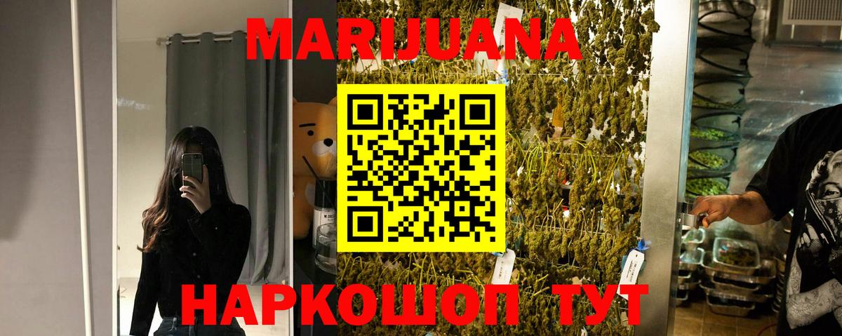 Конопля сатива Буйнакск
